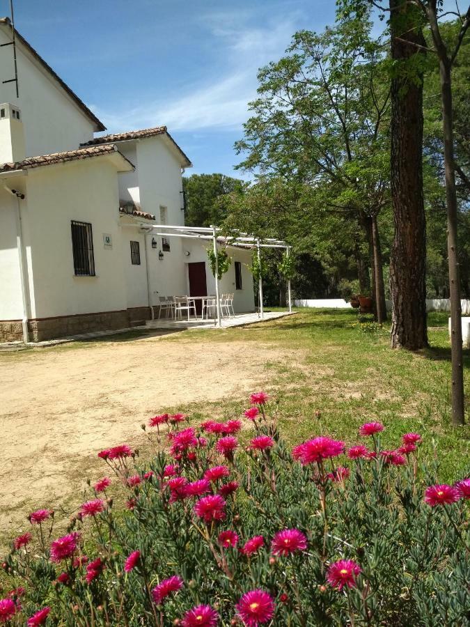 Vina Concepcion Villa Andújar Exterior foto
